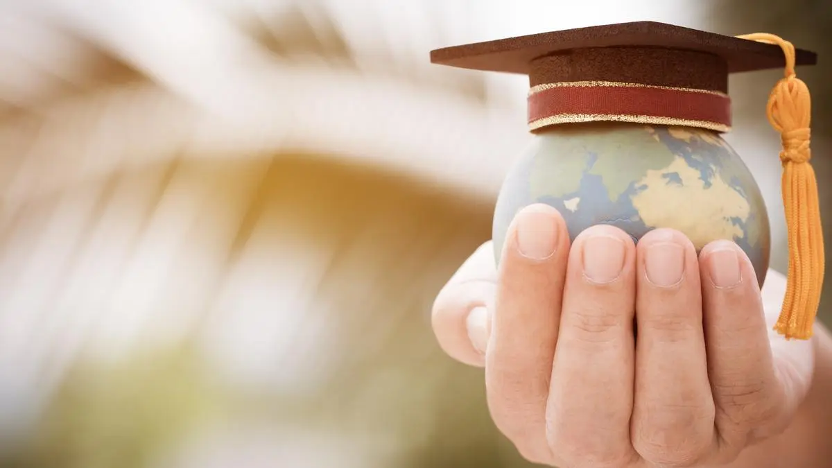 Liberalised Remittance Scheme (LRS) and the November 2025 Slowdown