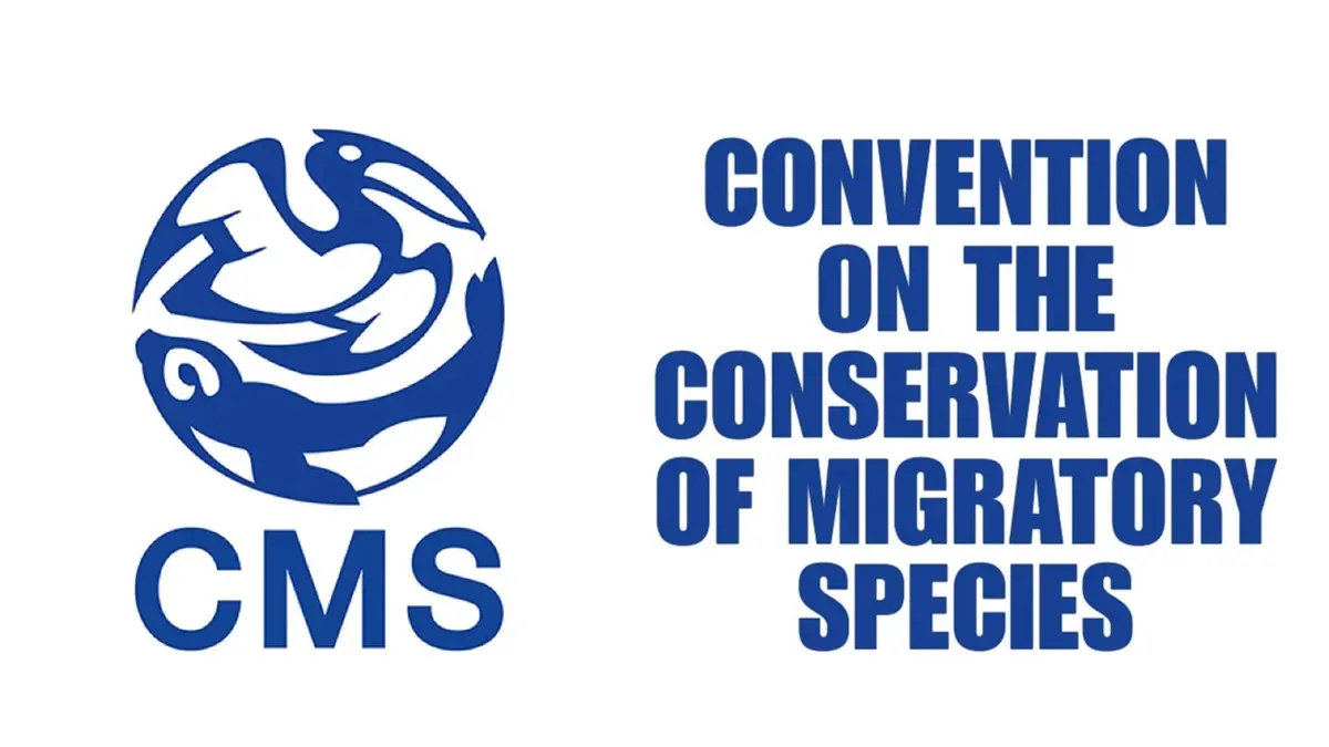 Convention on the Conservation of Migratory Species (CMS)