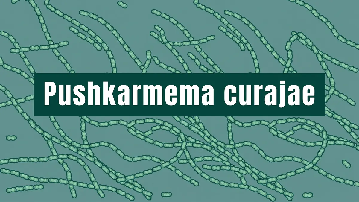 Pushkarnema curajae – New Cyanobacterium from Pushkar Lake