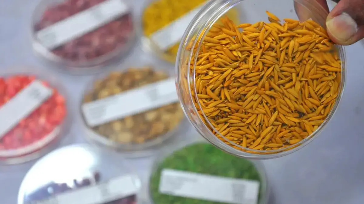 Smart Seed Coating Technology