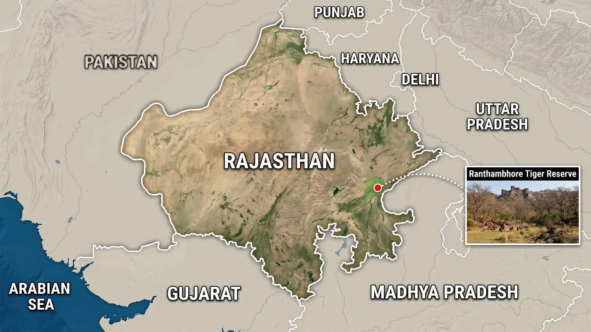 Ranthambhore Tiger Reserve – Vulture Migration and Conservation