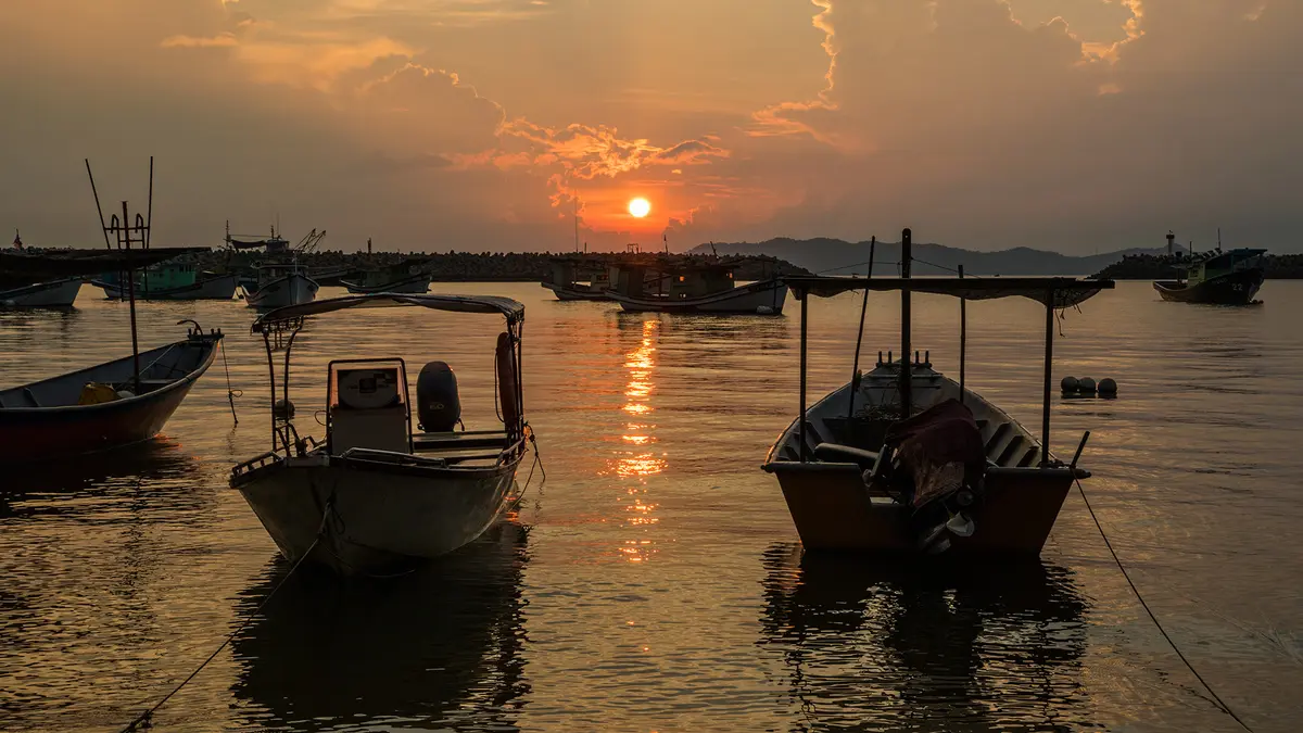 National Marine Fisheries Census 2025