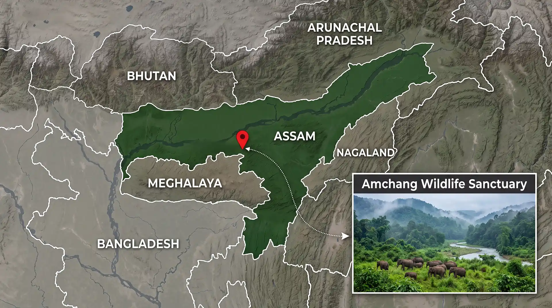 Amchang Wildlife Sanctuary and the Guwahati Ring Road