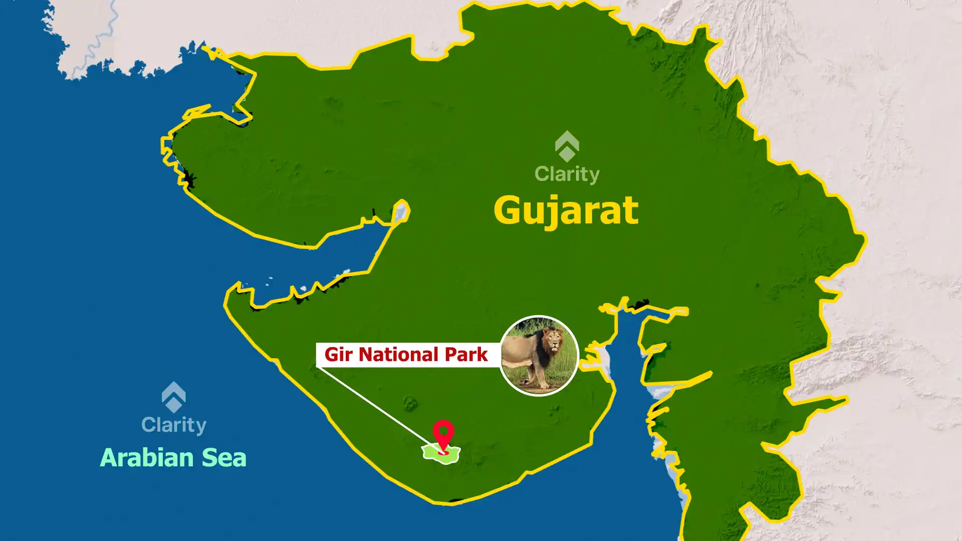 President Droupadi Murmu Visits Somnath Temple and Gir National Park