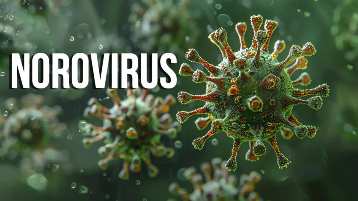Norovirus – the “winter vomiting disease” spreading in the US