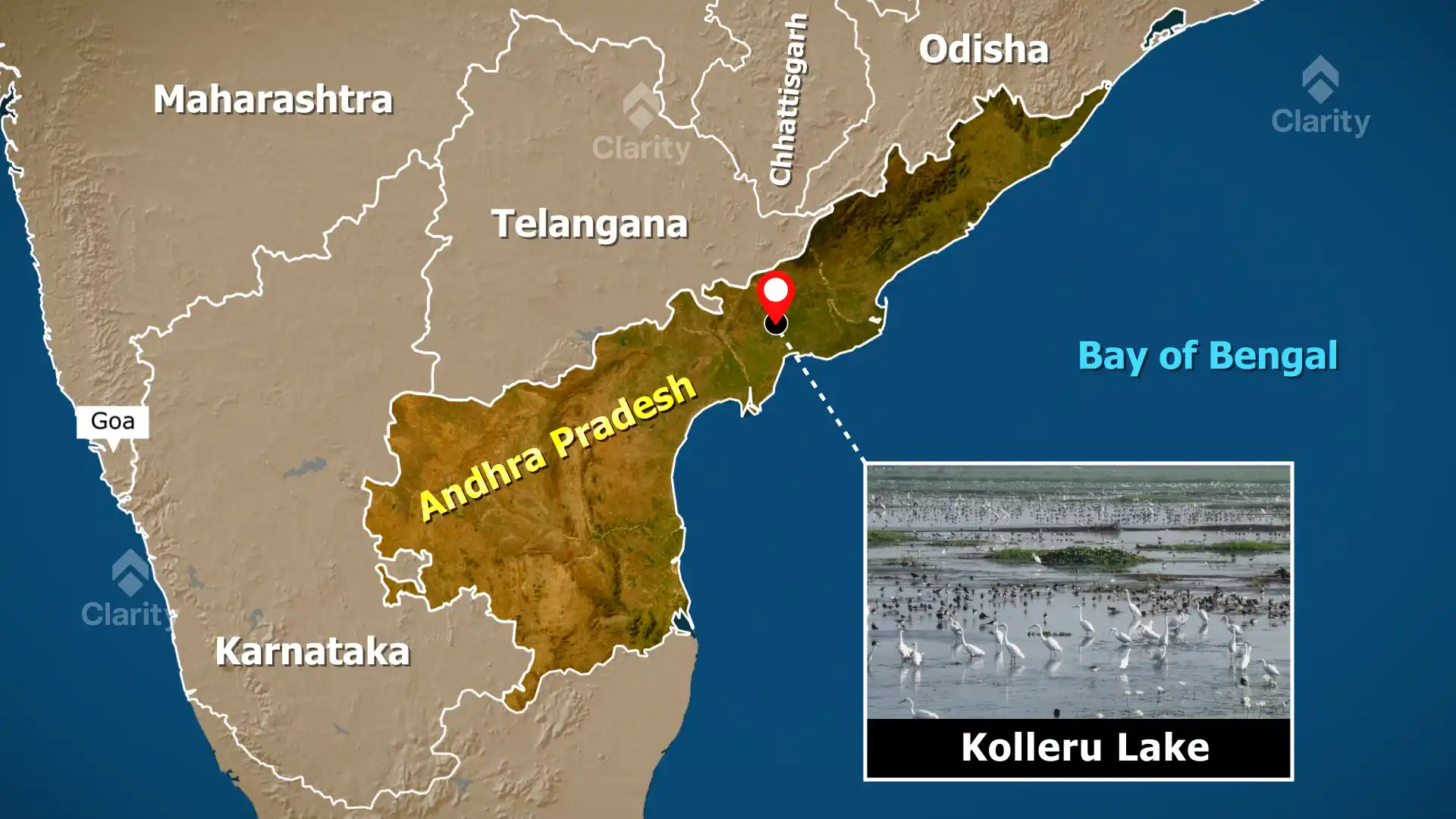 Kolleru Lake – A Living Wetland in Andhra Pradesh