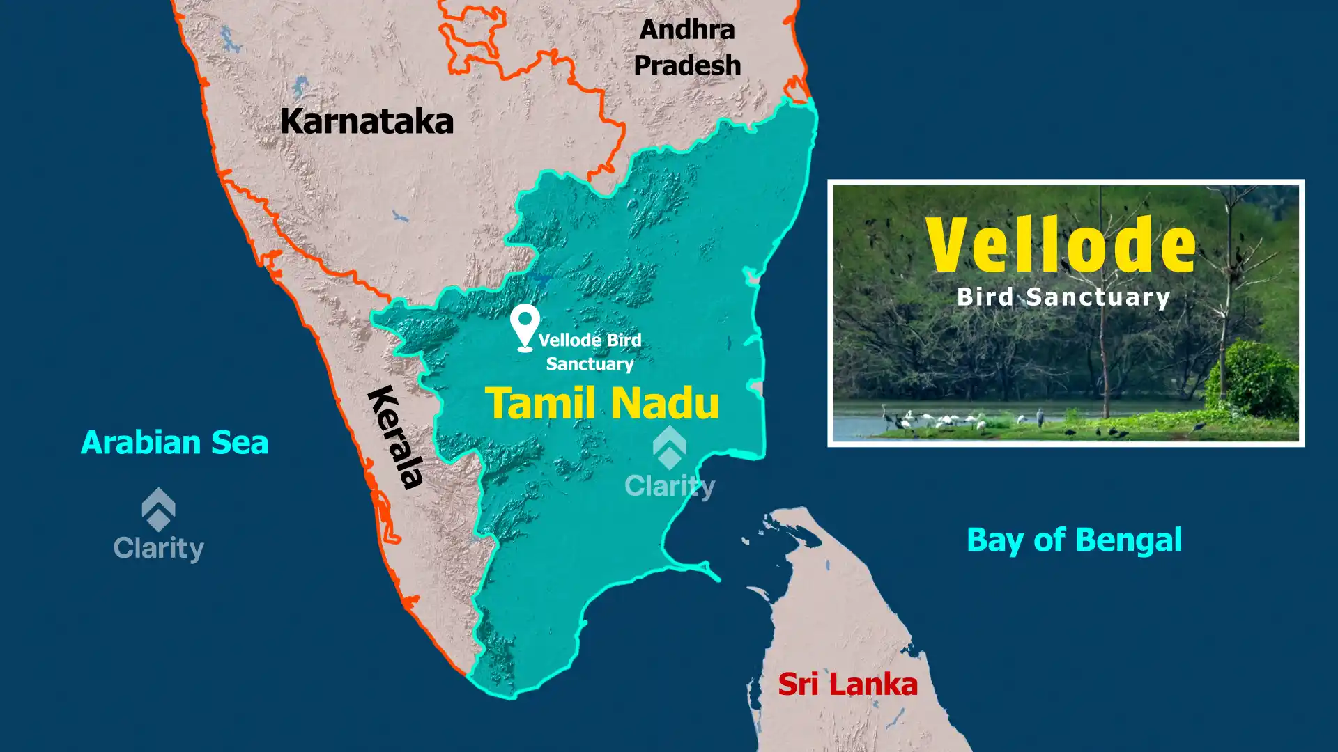 Vellode Bird Sanctuary – A Haven for Migratory Birds