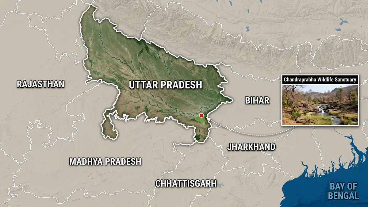 Chandraprabha Wildlife Sanctuary and a New Fungal Genus
