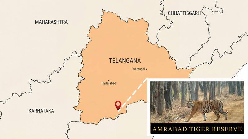 Amrabad Tiger Reserve – Tribal Relocation for Conservation