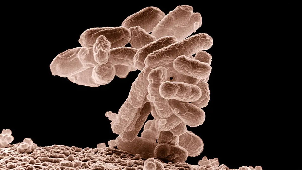 CAG Audit Finds E. coli in Water at Eight Railway Stations
