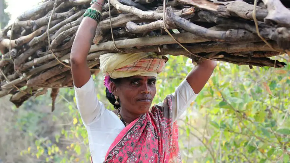 Mahadev Koli Tribe’s Ecological Knowledge