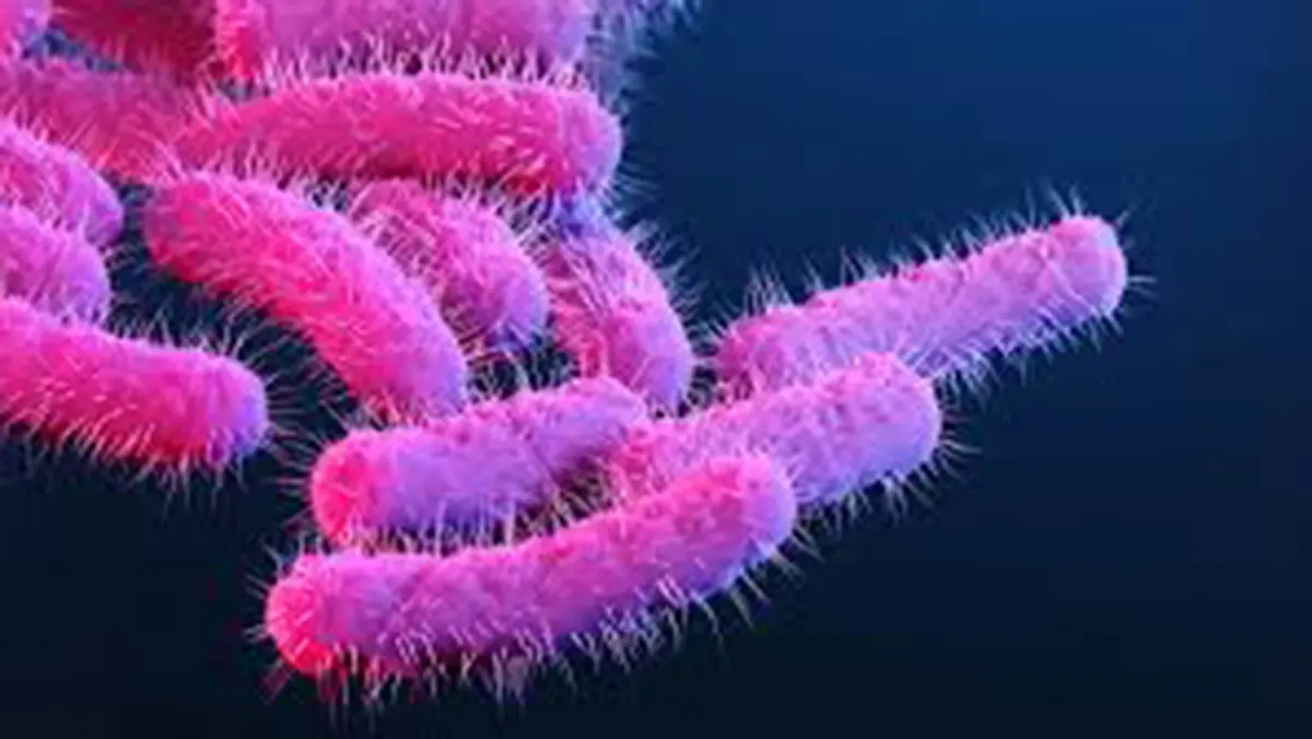 Shigellosis outbreak in Kerala