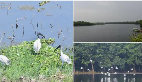 Two new Ramsar sites in Bihar