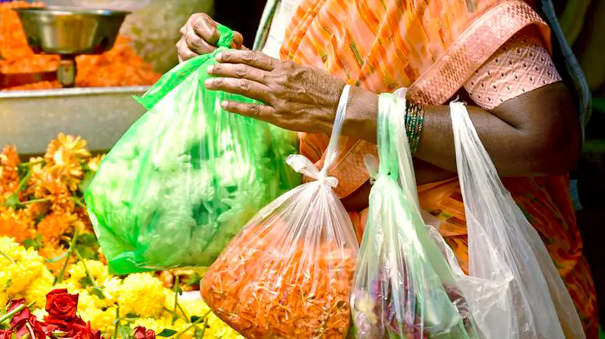 Single‑Use Plastic Ban in Karnataka