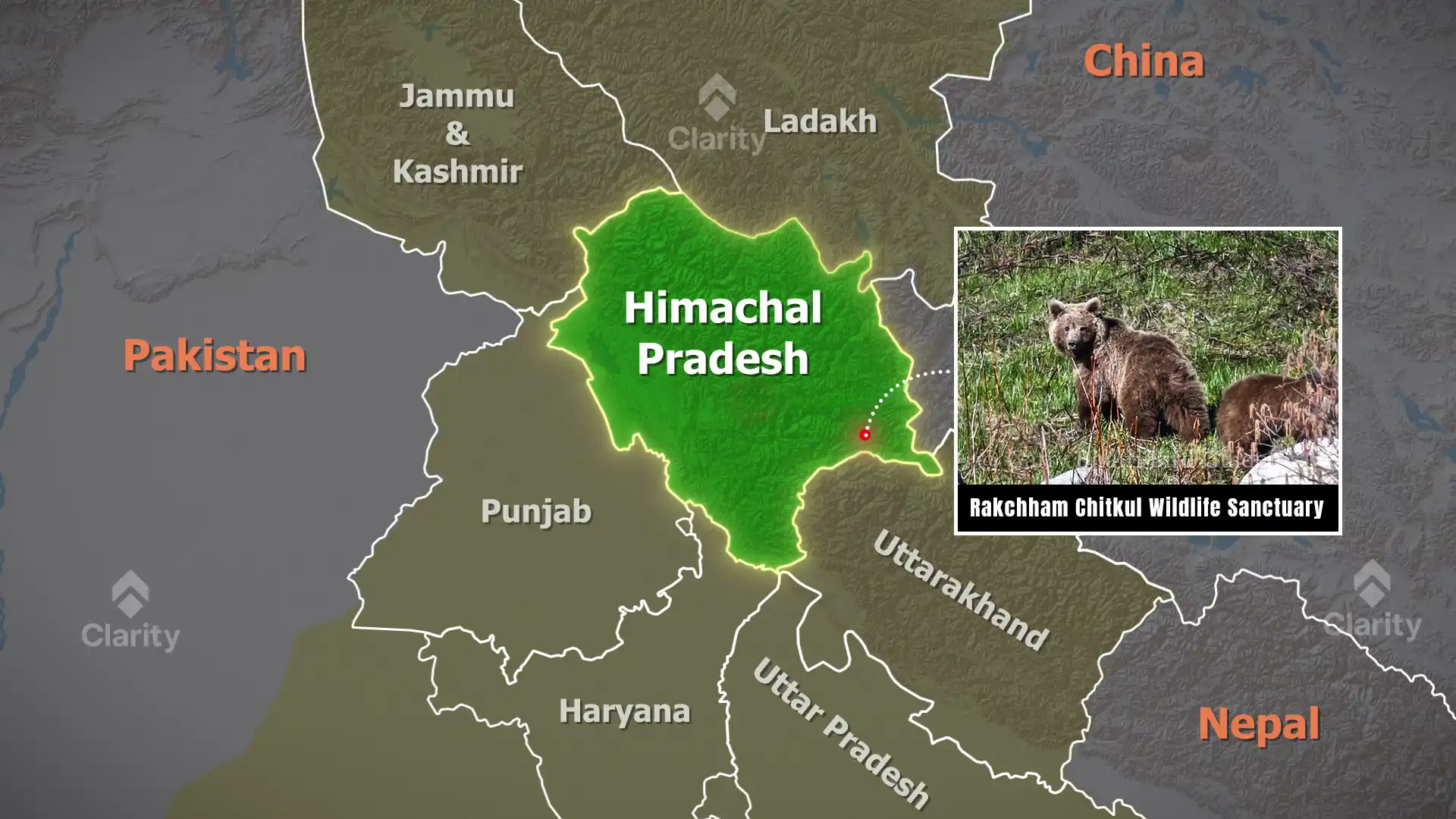 Himalayan Brown Bear Sighting in Rakchham‑Chitkul Wildlife Sanctuary