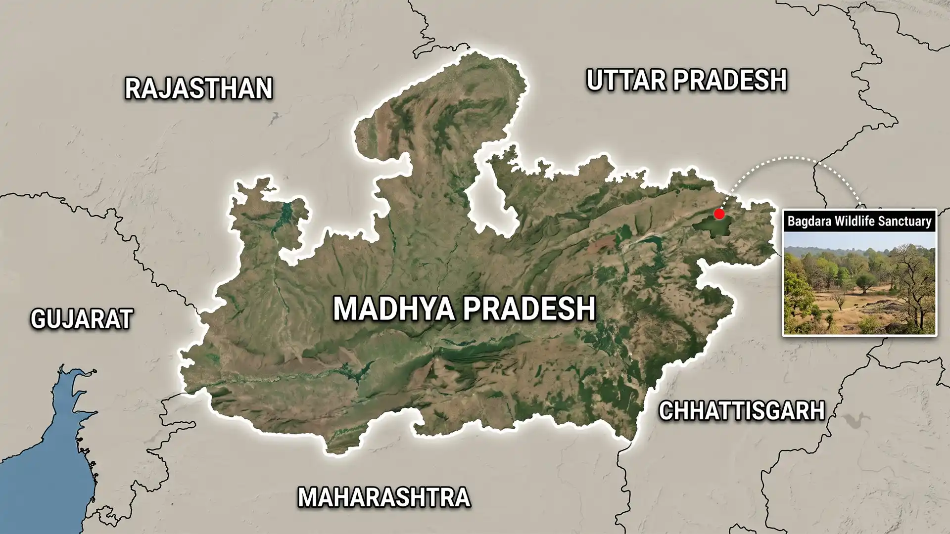 Bagdara Wildlife Sanctuary: Proposed Denotification in MP
