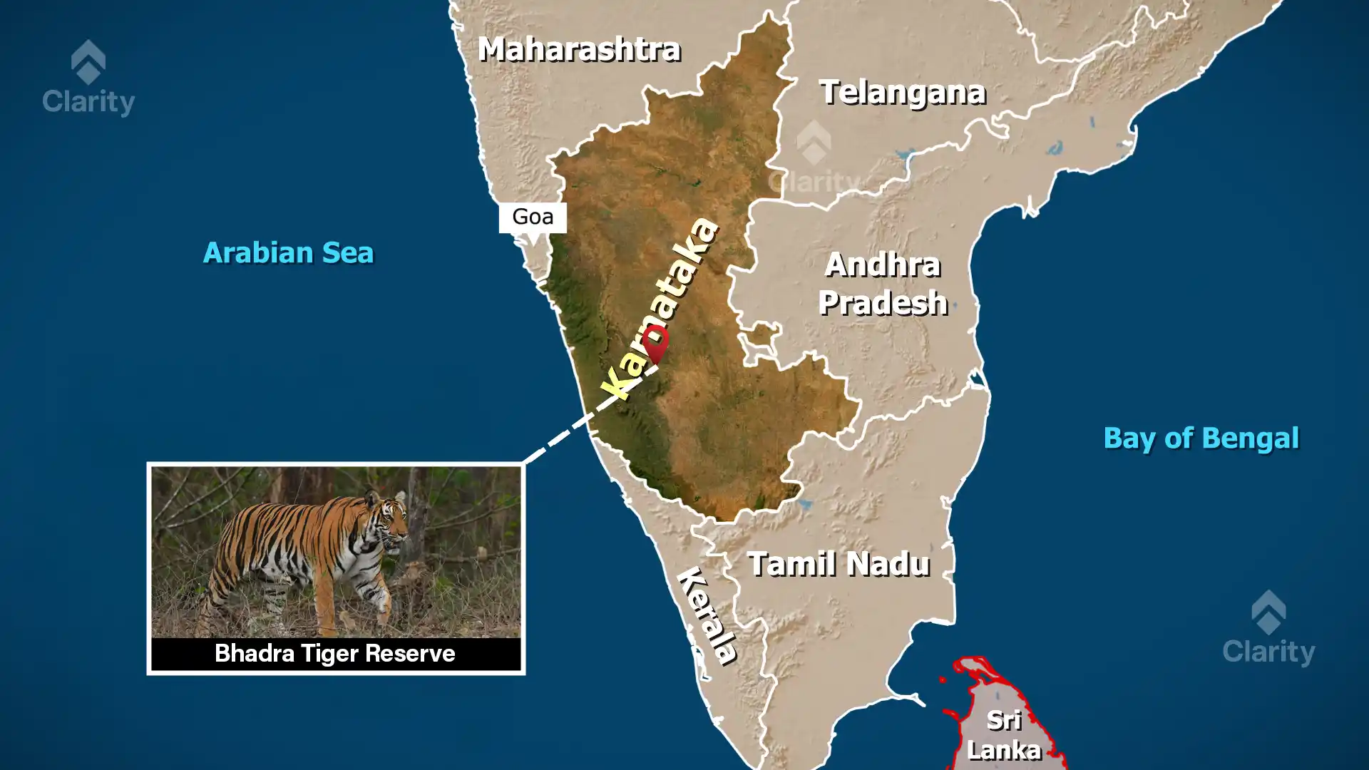 Bhadra Tiger Reserve