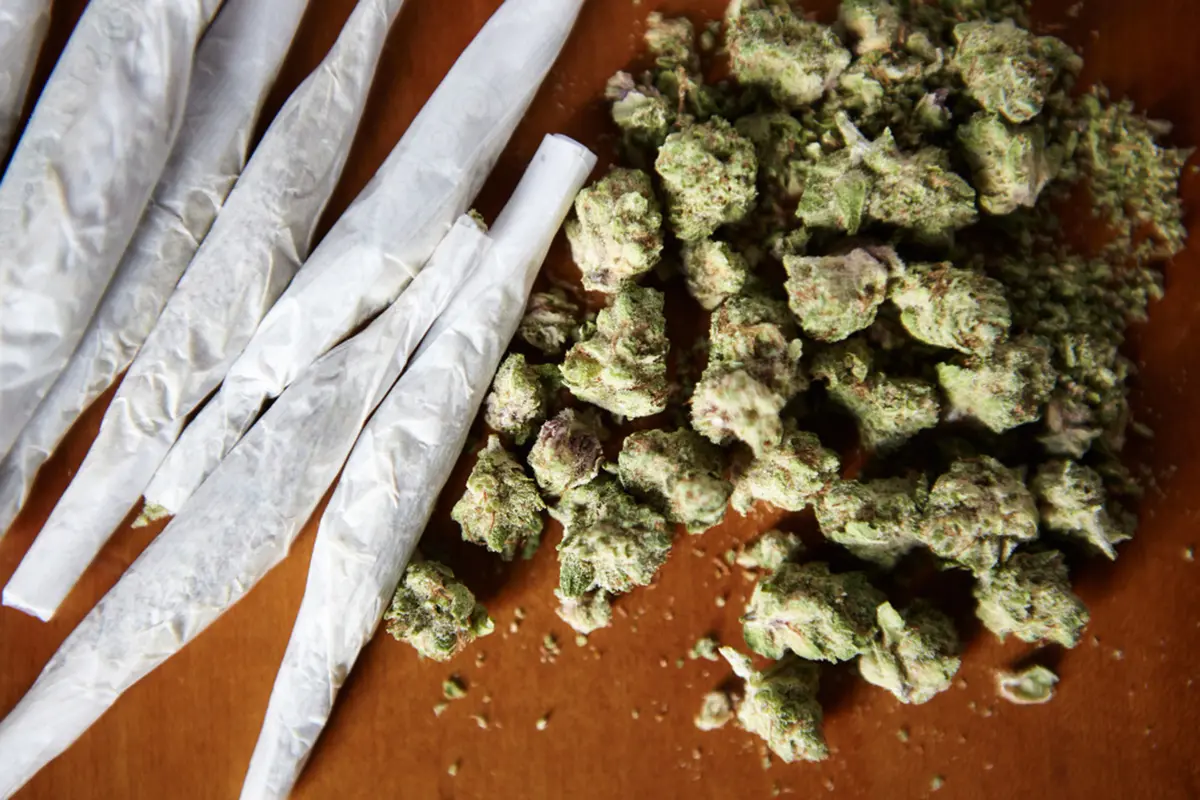 Operation Weed Out