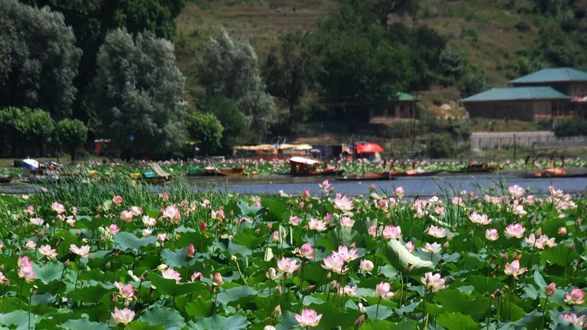 Manasbal Lake