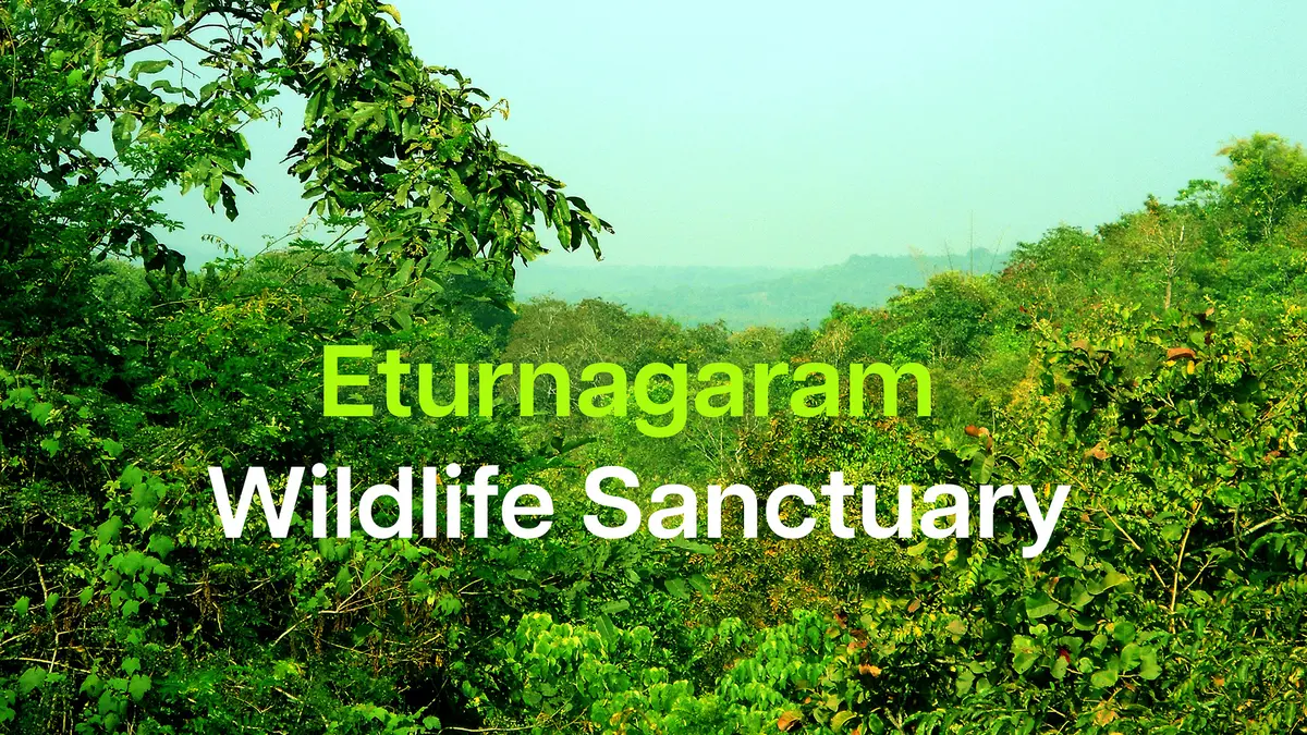 Eturnagaram Wildlife Sanctuary