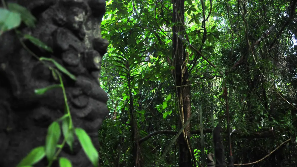 Sacred Groves - Supreme Court Calls for a National Policy