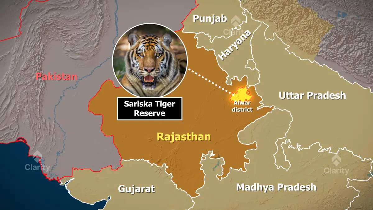 Sariska Tiger Reserve – from extinction to recovery
