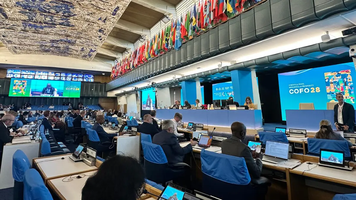 Committee on Forestry: India Restates 26 Million Hectare Target