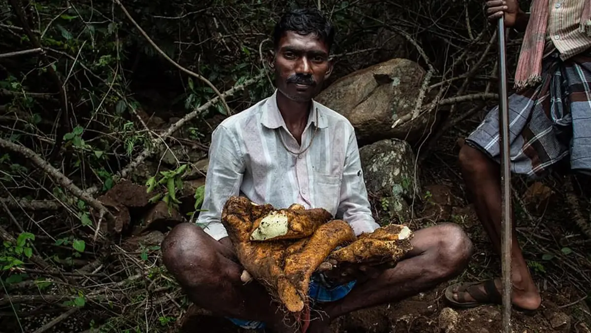 Soliga Community – Rights-Based Conservation in the Biligiri Hills