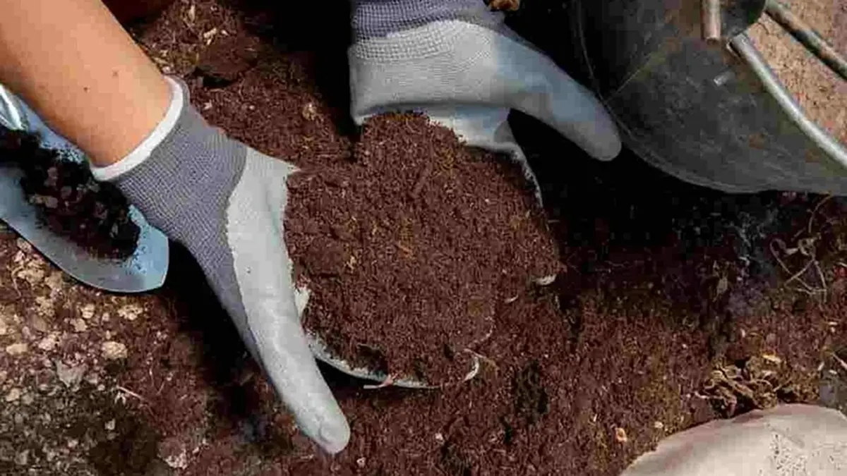 Proposal for Blending Fermented Organic Manure with Fertilisers