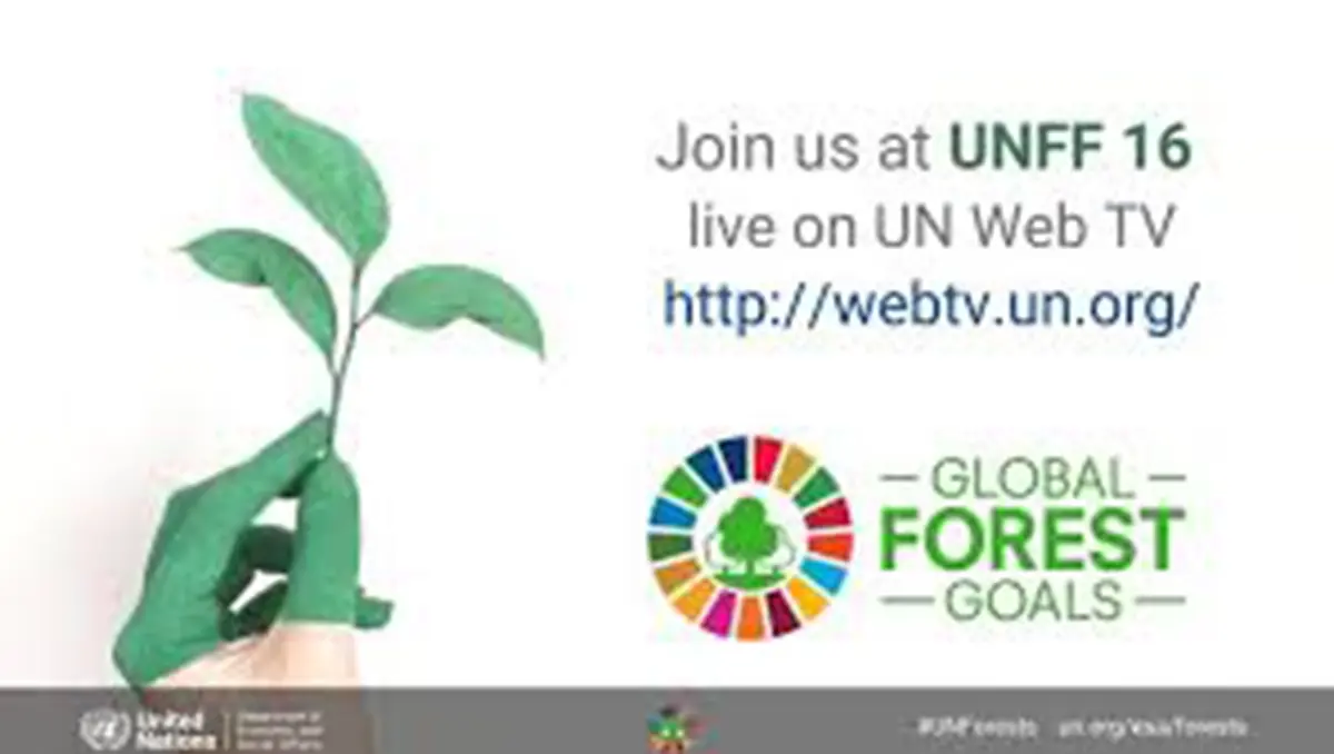 United Nations Forum on Forests (UNFF) and the Global Forest Goals Report 2026