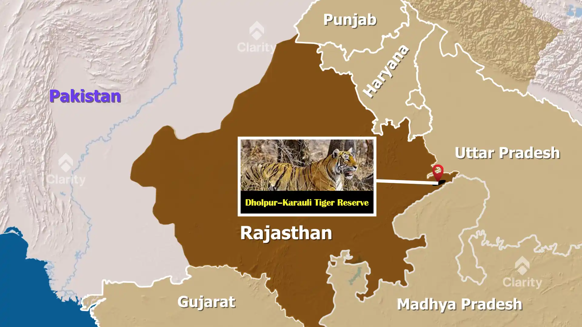 Dholpur–Karauli Tiger Reserve – Rajasthan’s New Sanctuary