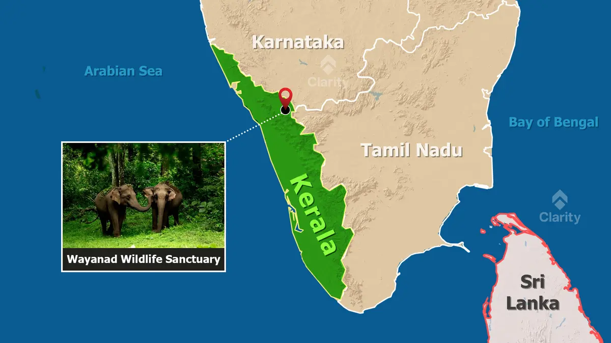 Wayanad Wildlife Sanctuary: Two-Day Vulture Survey Begins