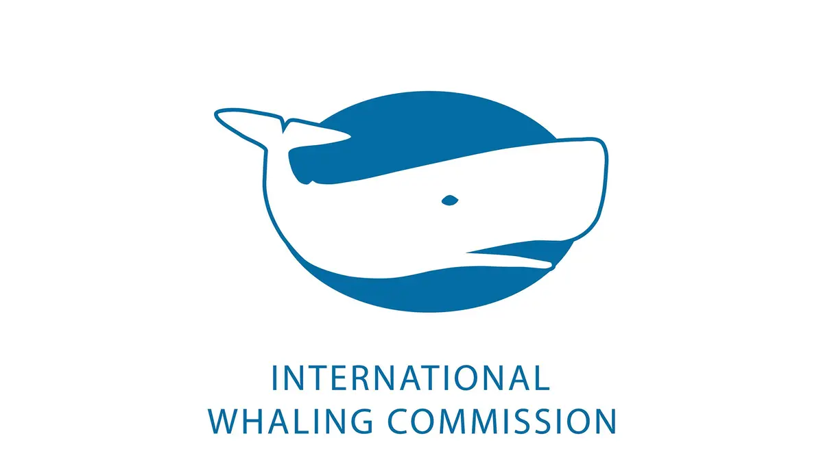IWC70 in Hobart: India Calls for Closer Scientific Cooperation