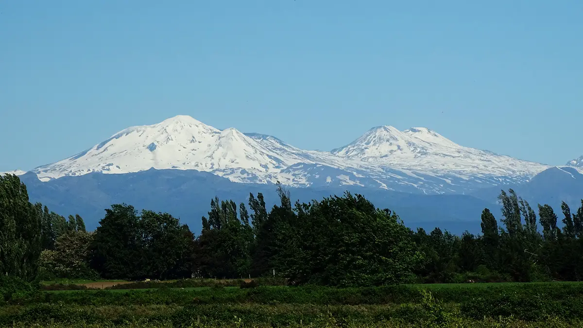 Nevados de Chillan: Ash Pulse Rises 380 m Above the Crater