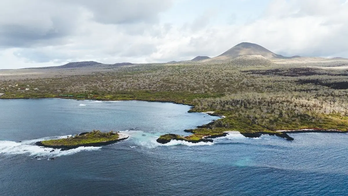 Rewilding Floreana Island with Giant Tortoises