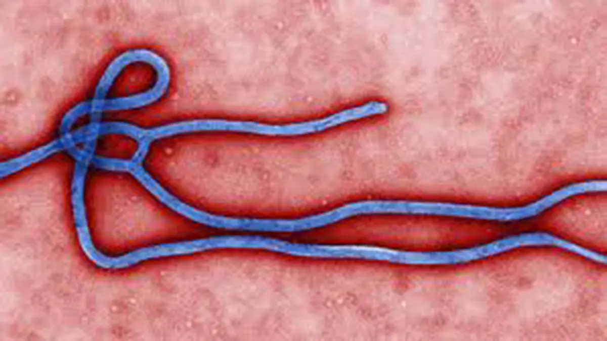 Ebola Outbreak in Ituri Province and Kampala – Bundibugyo Virus, May 2026