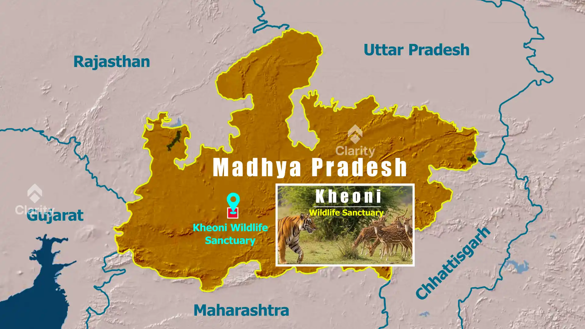 Kheoni Wildlife Sanctuary and the Endangered Dhole