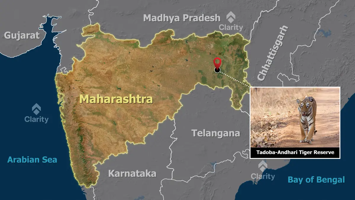 Tadoba Andhari Tiger Reserve