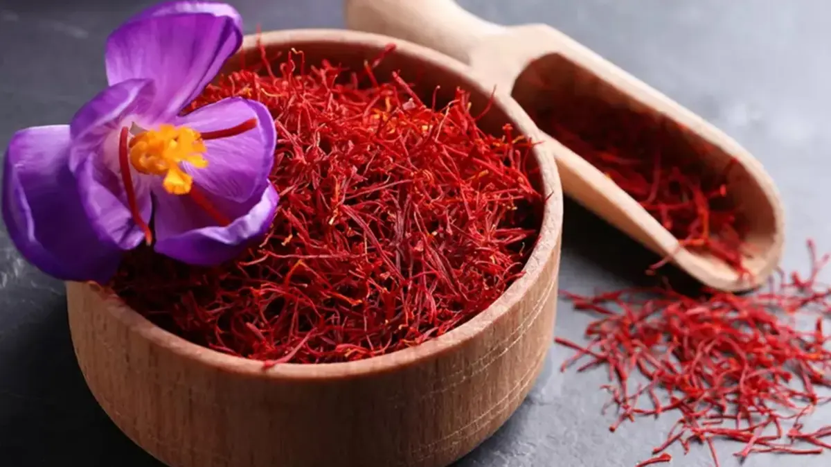 Kashmir Saffron – Rising Demand and Unique Status