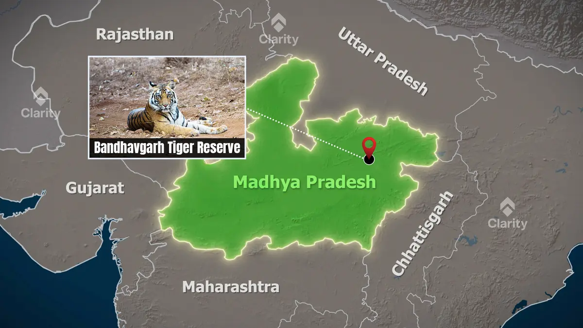 Bandhavgarh: Five-Day Rejuvenation Camp for 9 of 15 Elephants