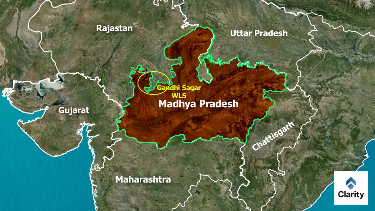 Gandhi Sagar Wildlife Sanctuary and the Cheetah Mating Programme