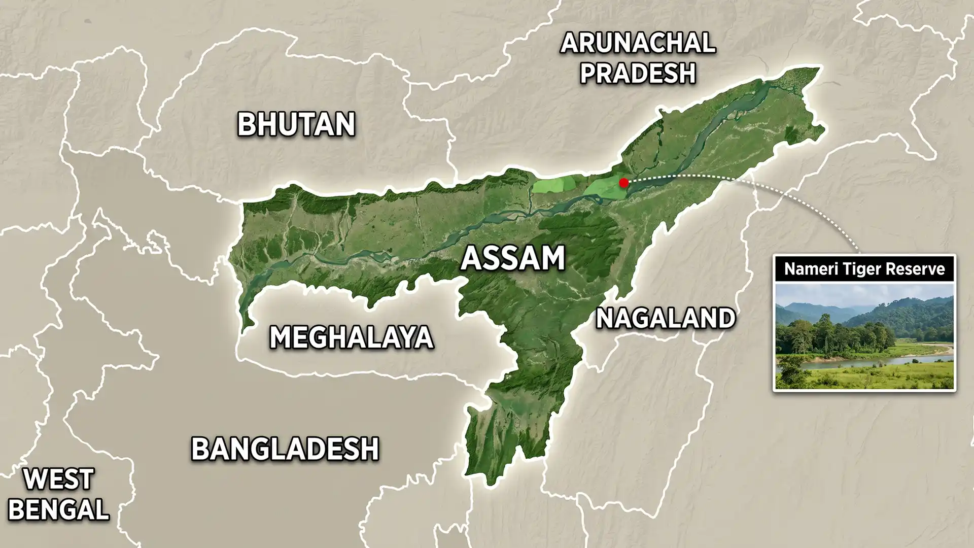 Nameri Tiger Reserve – Tiger Numbers Quadruple