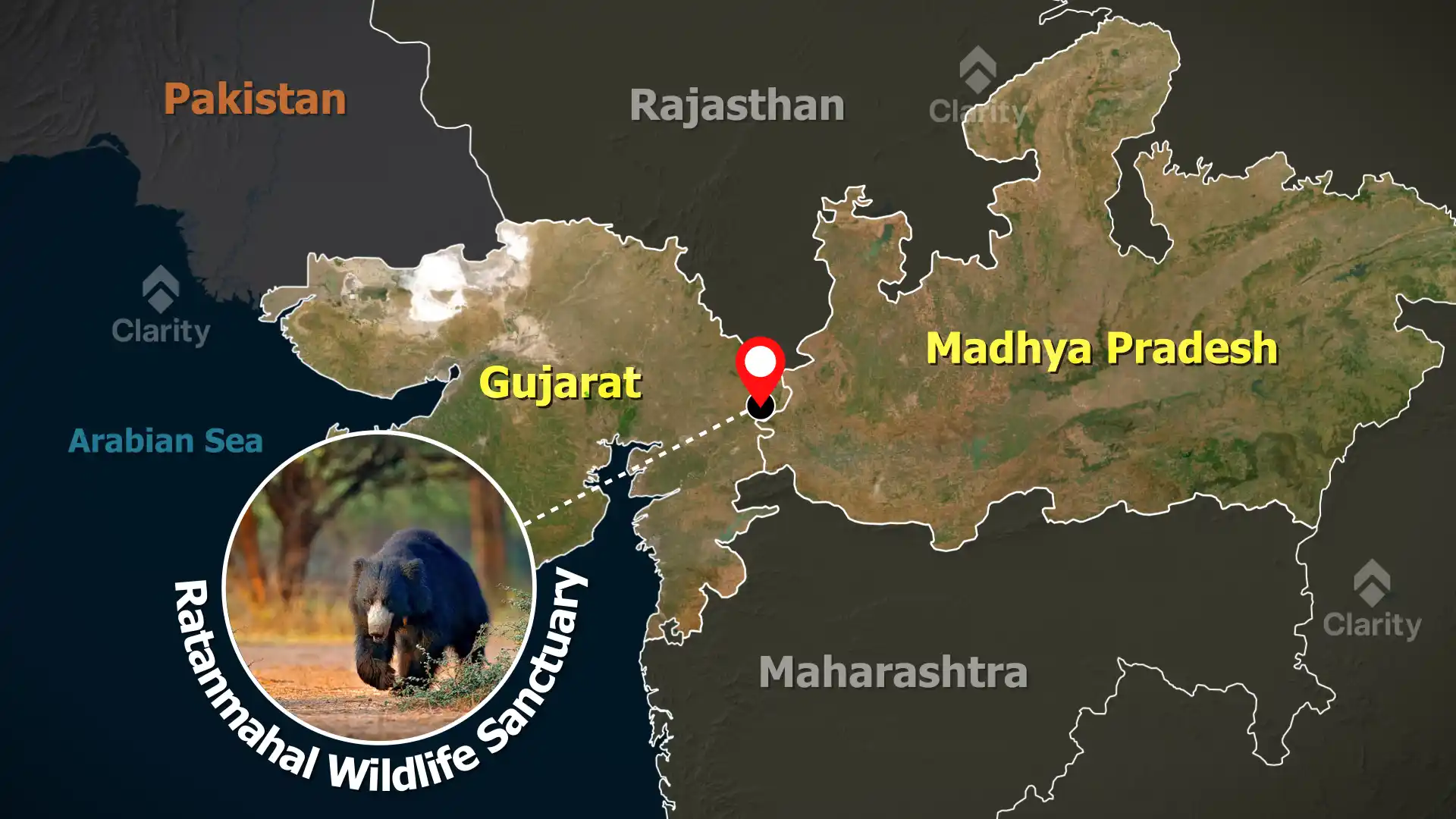Tiger’s Return to Gujarat – Ratanmahal Wildlife Sanctuary