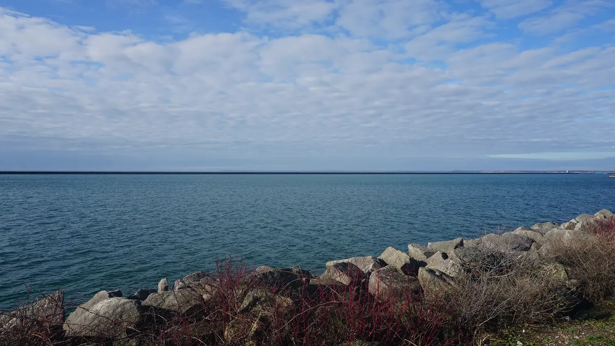 Perry Nuclear Plant Grounds Shelter 850 Acres of Habitat