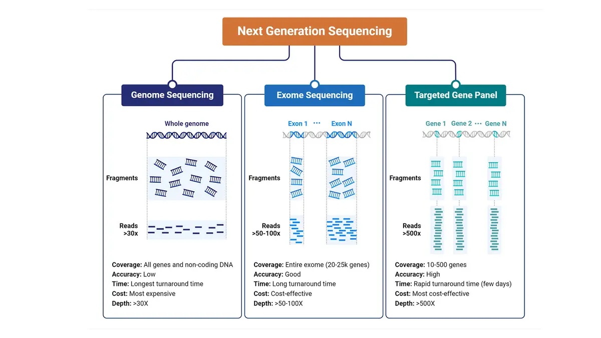 Whole‑Exome Sequencing (WES)