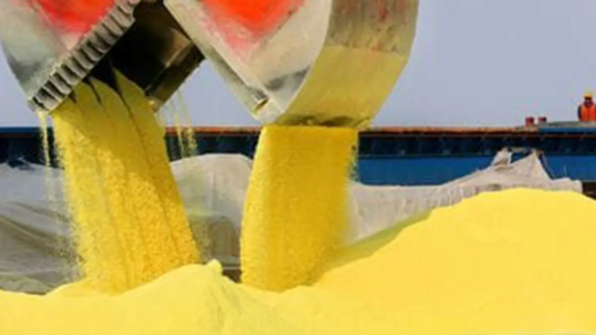 Sulphur: Import Prices Near $1,100 Squeeze Fertiliser Supply