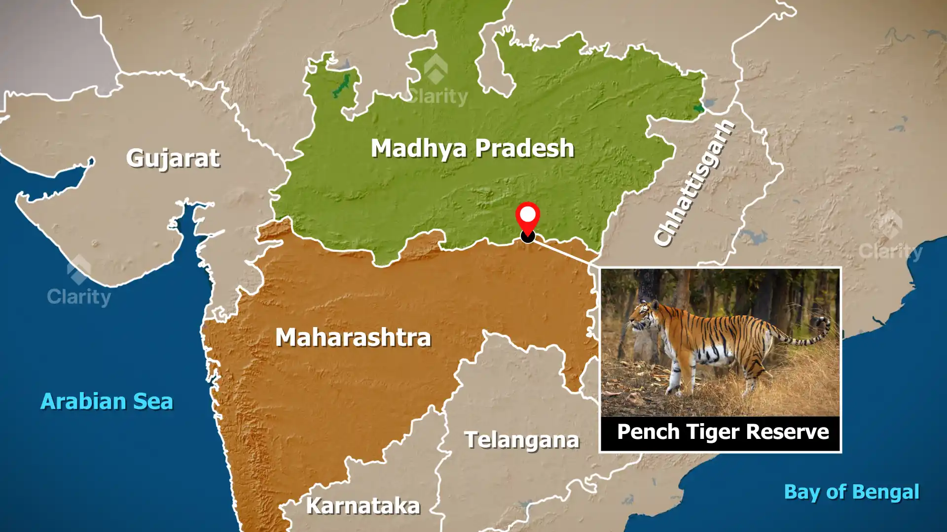 Pench Tiger Reserve and the journey of J132