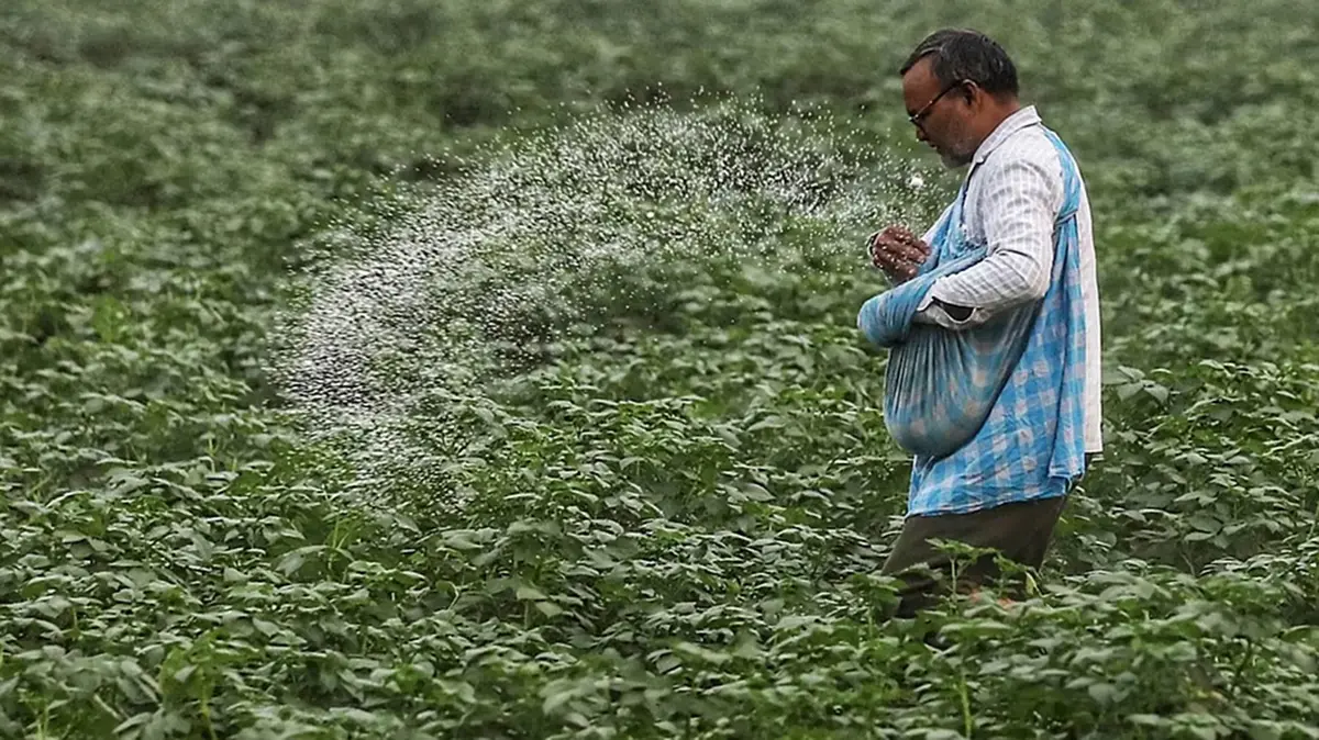 Carbosulfan: Proposed National Ban & Insecticide Profile