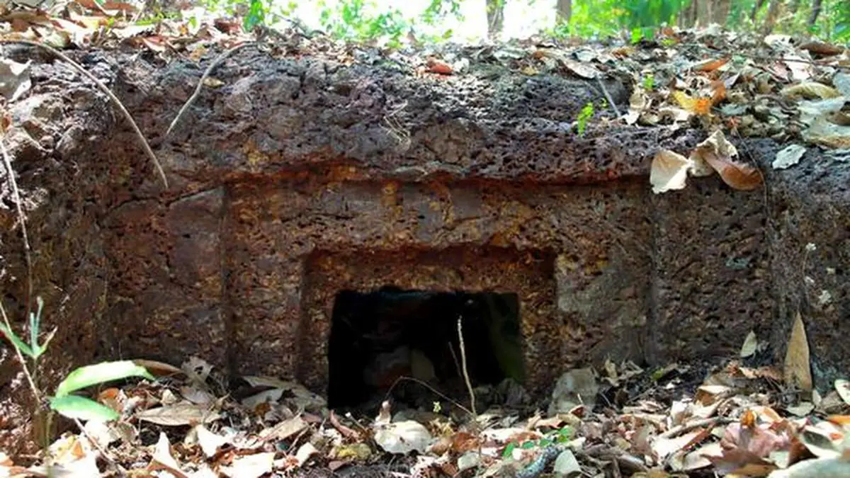 Megalithic Rock‑Cut Chamber Unearthed in Kerala