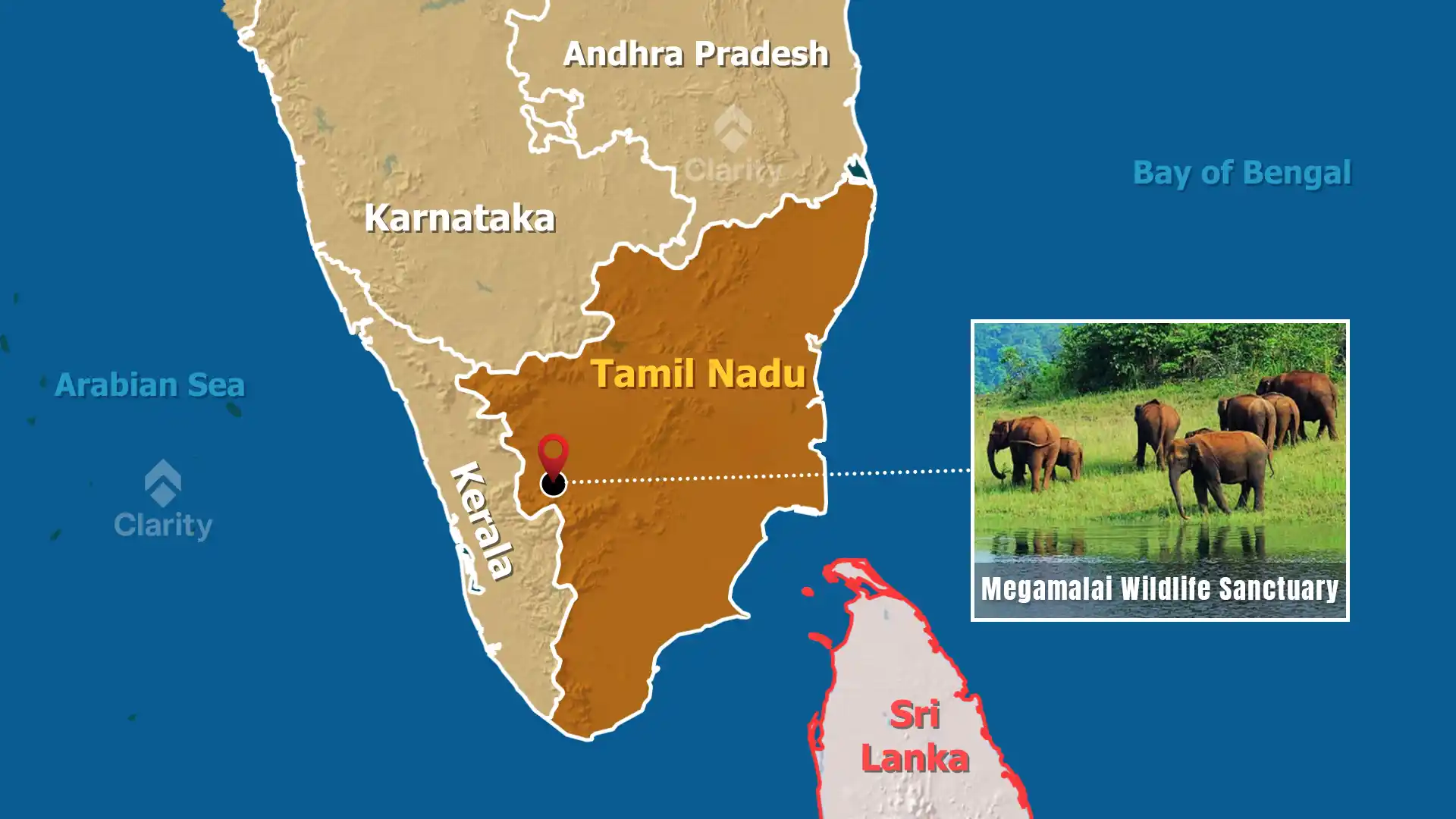 Megamalai Wildlife Sanctuary – Nine New Species Documented